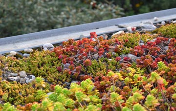 the cost of Dalrymple green roof installation