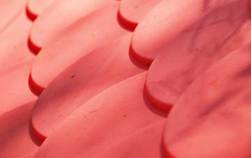 Dalrymple plastic roof costs