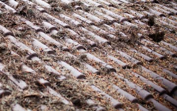 Dalrymple roof cleaning companies