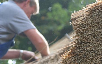 professional Dalrymple thatchers