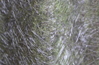 Dalrymple fibreglass roof work